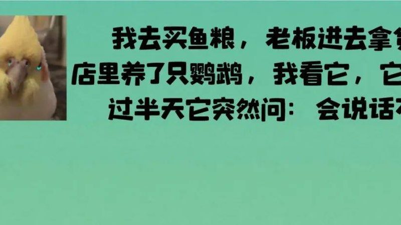 花生油与菜籽油，谁更胜一筹？揭秘两者差异与选择要点**