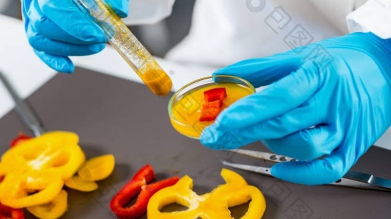 预制菜代工生产：揭秘背后的工艺与流程**